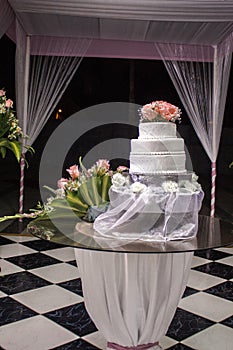 A bride in special Hotel in PerÃÂº photo