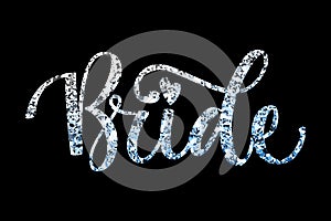 Bride Squad Party silver sparkle calligraphy text - Bride