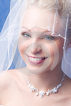 Bride under a veil