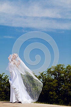 Bride and veil