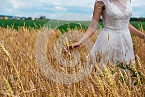 A bride is walking along the wheat field, touching the ears with the hand