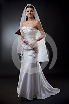 Bride in wedding dress