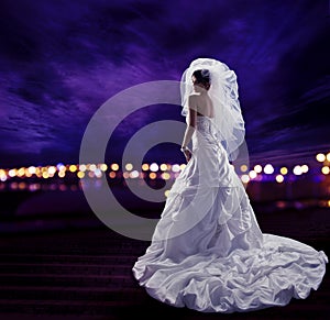 Bride in Wedding Dress with Veil, Fashion Bridal Beauty Portrait