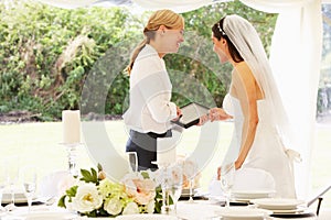 Bride With Wedding Planner In Marquee photo