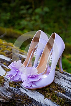 Bride Wedding Shoes