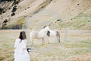 Bride in a white dress goes to the horses in the pasture. Back view