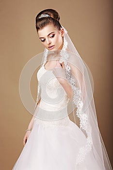Bride in White Dress and Openwork Veil