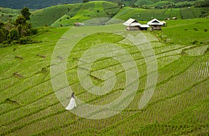 Bride with white wedding dress in paddy field