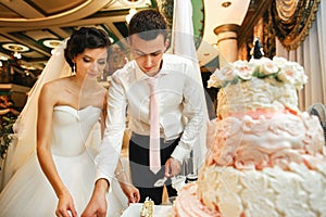 The brides cutting a wedding cake photo