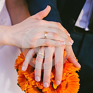 Brides and Grooms Hands with Wedding Rings