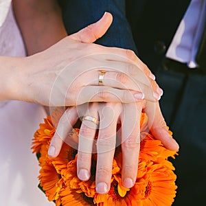 Brides and Grooms Hands with Wedding Rings photo