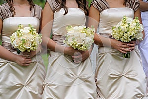 Bridesmaids photo