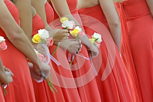 Bridesmaids photo