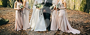 Bridesmaids in powder pink pastel dresses are standing near the bride and groom outdoors. Beautiful girls and wedding couple.