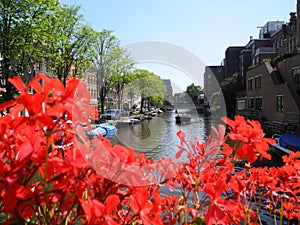 BridgBridges over the canals in Amsterdam flowers