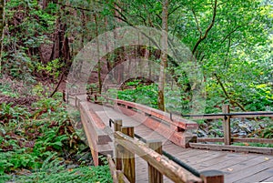 Bridge 1, Main Trail of Muir Woods National Monument. Mt Tamalpais, Marin County, CA