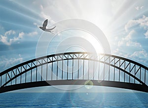 Bridge above lake at sunset, bird flying