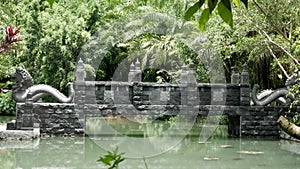 bridge across the lake with snake ornament