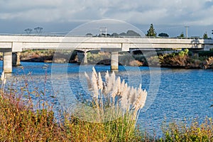 Bridge across the Manawatu River in New Zealand