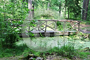 The bridge across the swamp in the Park
