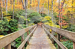 Bridge along the Tanawha Trail in North Carolina photo
