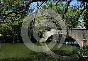 A bridge in Audubon Park New Orleans