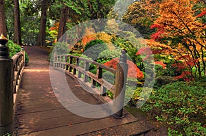 Bridge in autumn img