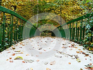 Bridge in autumn forrest
