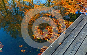 Bridge in autumn lake