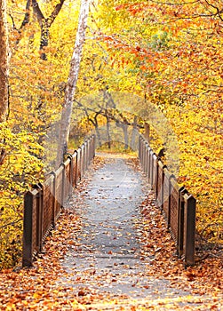 Bridge in Autumn Park