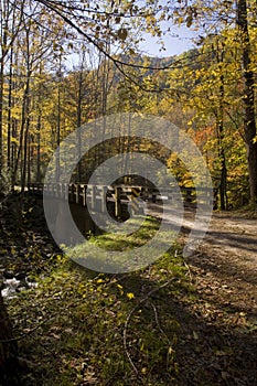 Bridge, Autumn, Tremont, Smokies NP photo