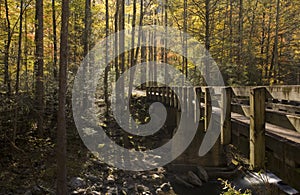 Bridge, Autumn, Tremont, Smokies NP