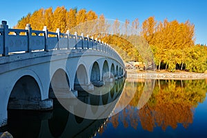 The bridge and autumnal scenery