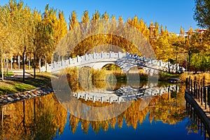 The bridge and autumnal trees lakeside