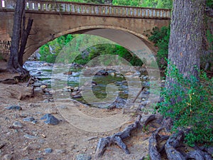 Bridge in Bariloche photo