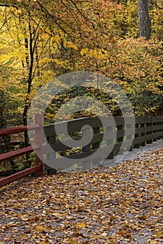 Bridge with beautiful Autumn leaves