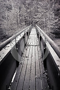 Bridge on a Black Forest hiking trail through the Wutachschlucht, Germany