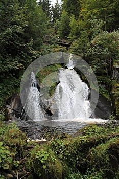 Bridge in Black Forest over Waterfall