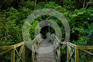 Bridge in Bledisloe Walkway, Palmerston North