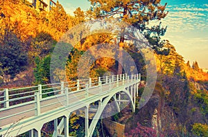 Bridge in botanical garden in Tbilisi