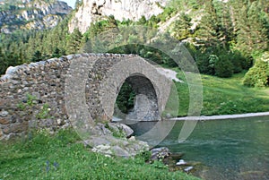 A bridge in bujaruelo valley photo