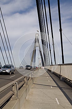 Bridge Cables, Pylons, walkway and Road