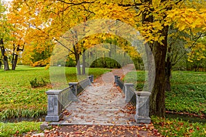 Bridge in Catherine park in autumn foliage, Pushkin Tsarskoe Selo, Saint Petersburg, Russia