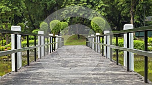 Bridge in Japanese garden in Rizal Luneta park, Manila, Philippines photo