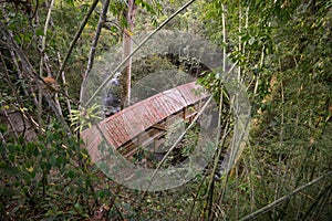 Bridge in the Colombian jungle in Tierradentro photo