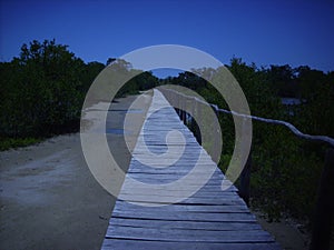 Wooden bridge to reach Tortuga Lodge in Tacarigua de la Laguna, Miranda, Venezuela photo