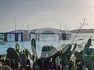 Bridge connects to the main pier and octa pier pillar erect from the sea water