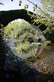 Bridge in the midle of forest