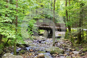 Bridge crosses a small creek in a Tennessee forest