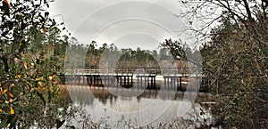 Bridge Crossing at Blackwater River State Park in Florida